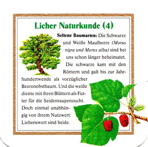 lich gi-he licher naturkunde 4b (quad185-maulbeere 4)